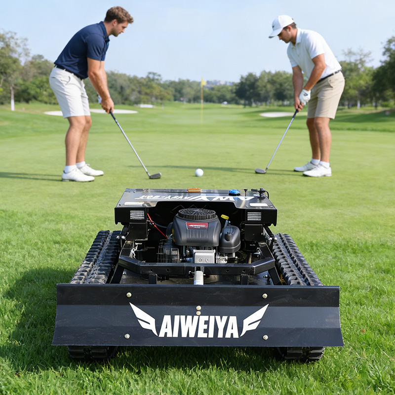 Agriculture Farming Professional - Customized Hot Sale Gas Powered Lawn