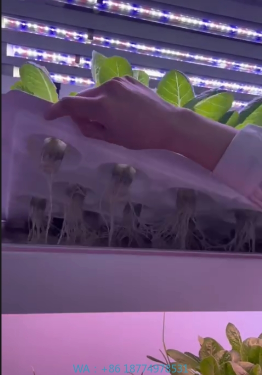 f Greenhouse Agricultural Equi - Farming Equipment For Agriculture recension och pris