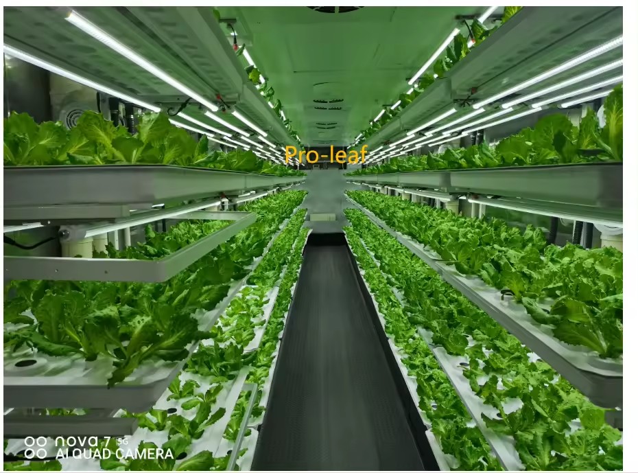 f Greenhouse Agricultural Equi - Farming Equipment For Agriculture recension och pris