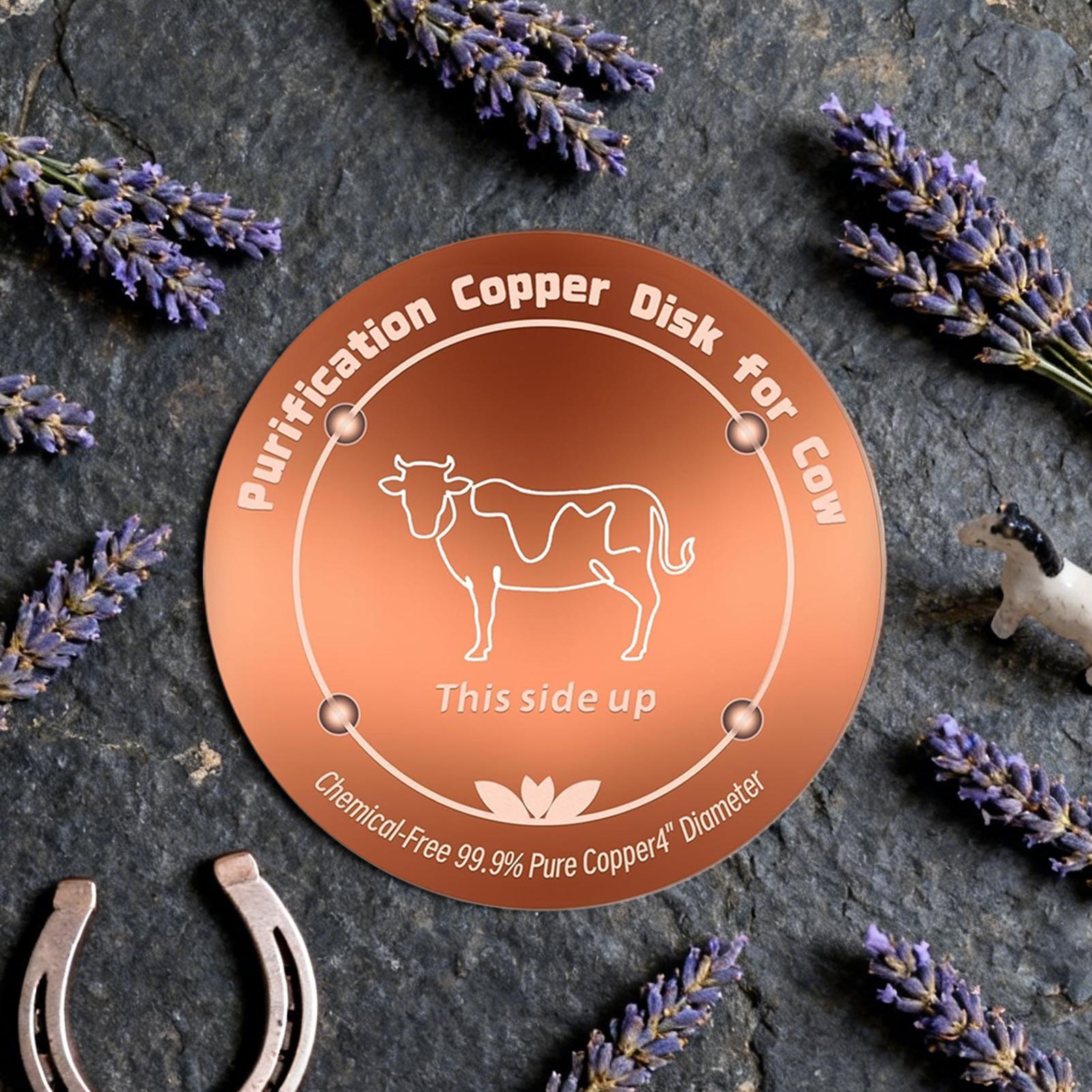 Bird Bath Disc with Three-Poin - Farming A recension och pris