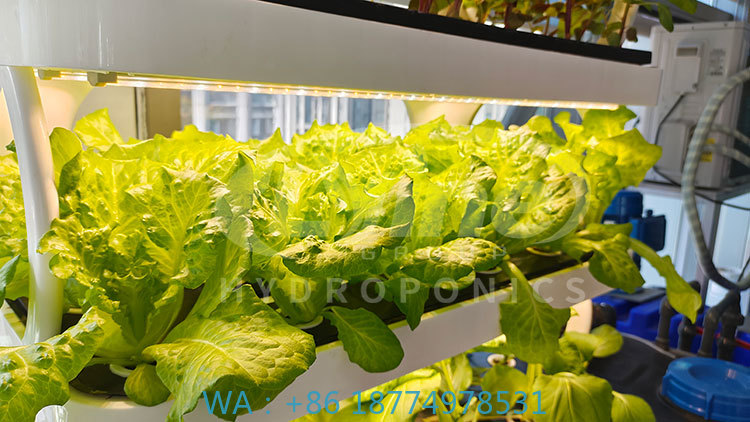 c Agriculture Machine to Growi - Farming Equipment For Agriculture recension och pris