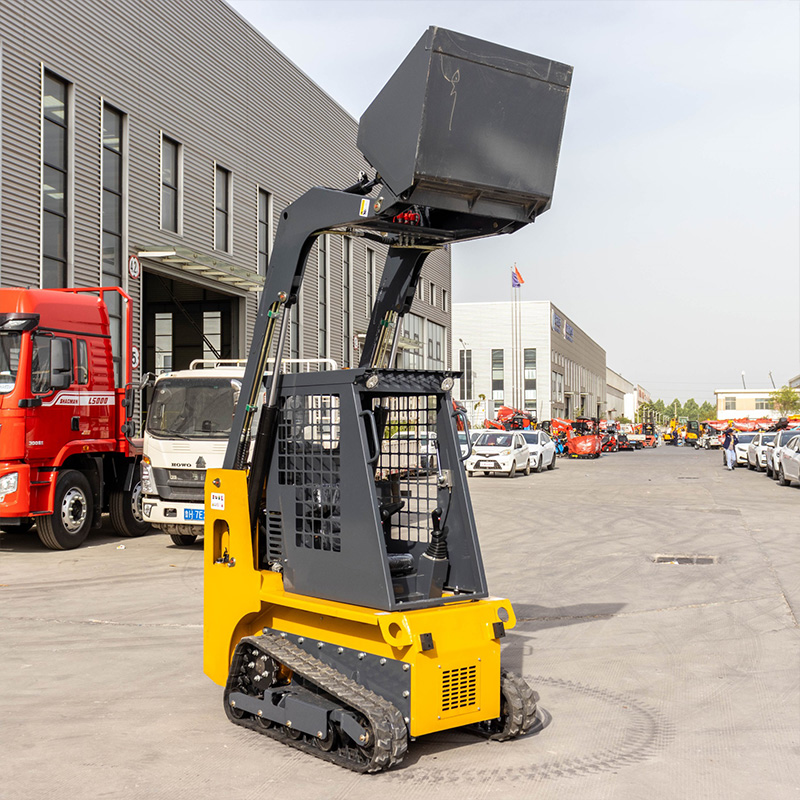 Small Skid Steer Loader for Fa - Farming Agriculture Stocks recension och pris