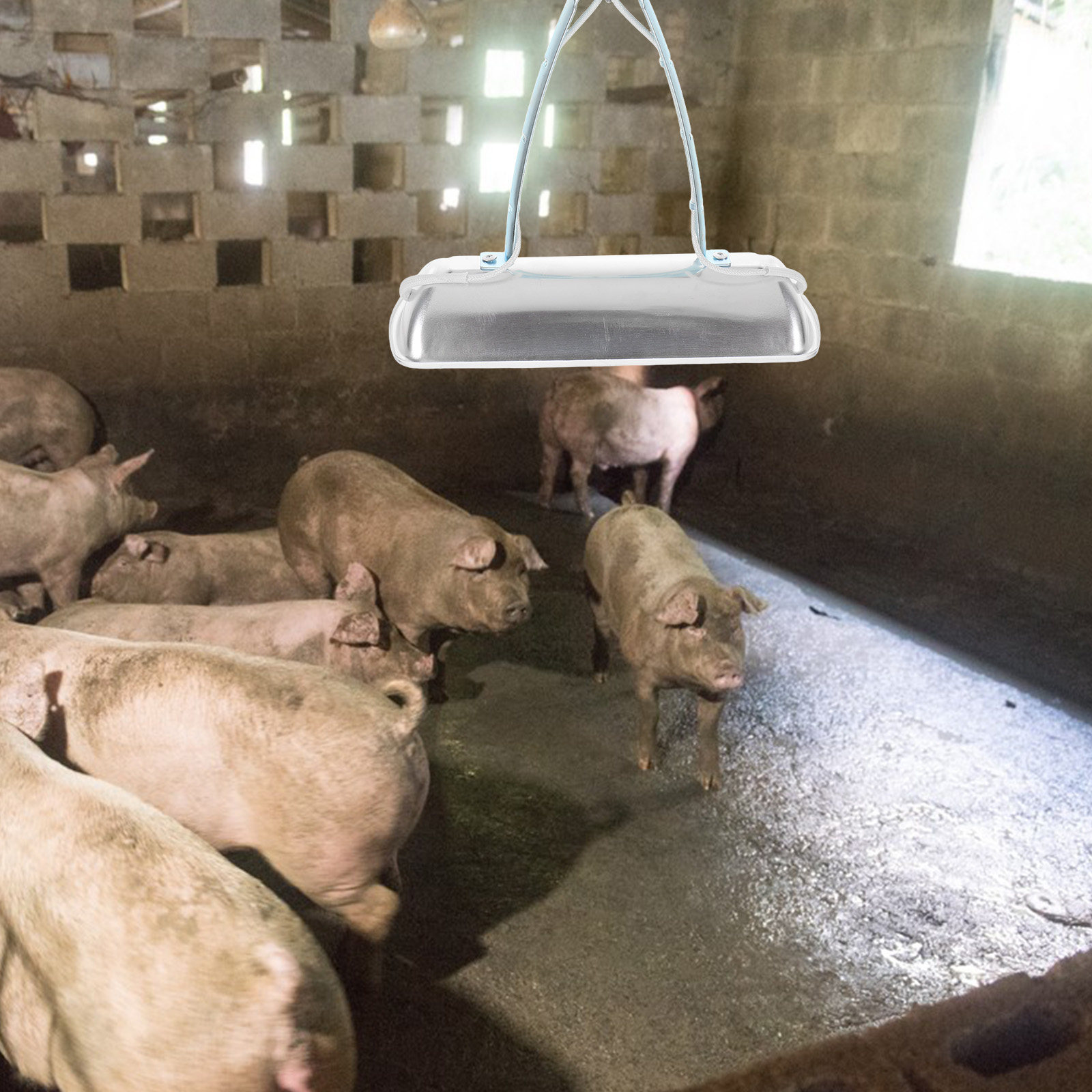 Pig Farm Preservation Lamp Chi - Farming A recension och pris