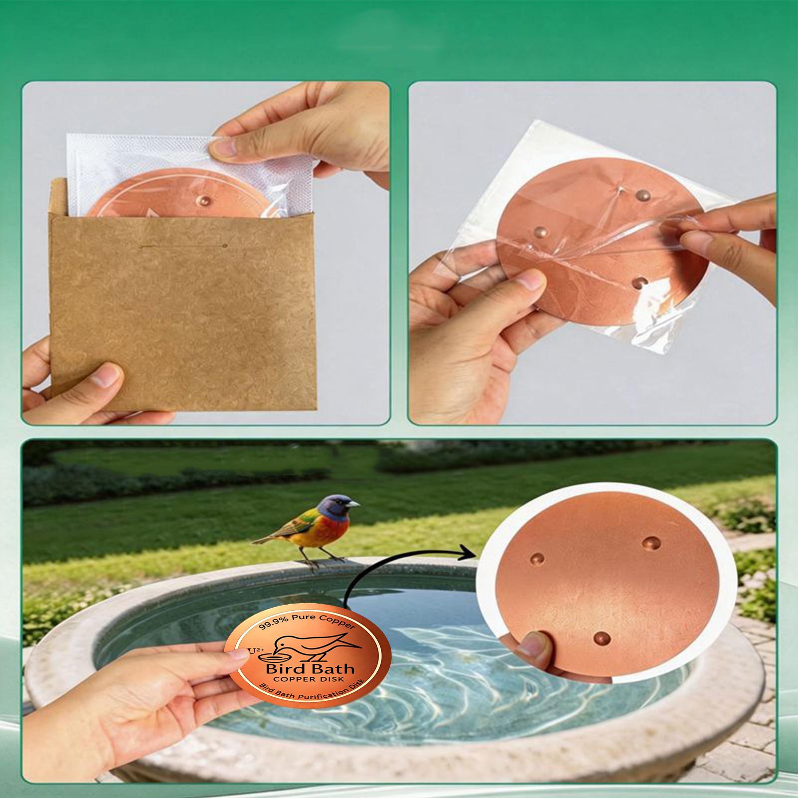 Bird Bath Copper Disc 0.6mm Th - Farming A recension och pris